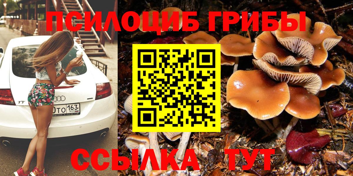 Псилоцибиновые грибы MAGIC MUSHROOMS Кумертау