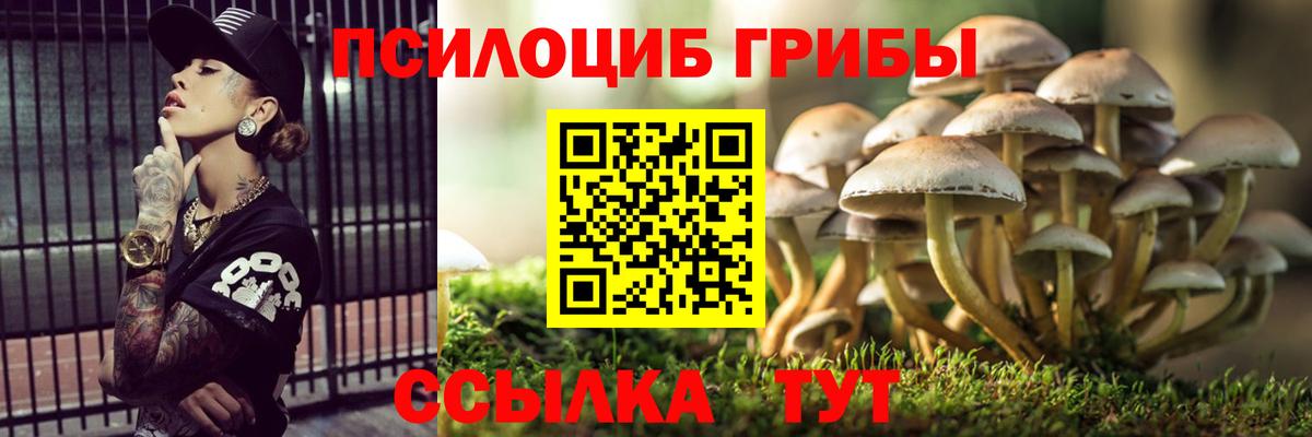 закладки  Галлюциногенные грибы ЛСД  Кумертау  Вход с VPN  Псилоцибиновые грибы Psilocybe 